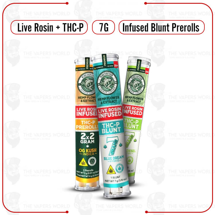 White Fish Live Rosin Infused THC-P Blunt Prerolls 7G-1CT